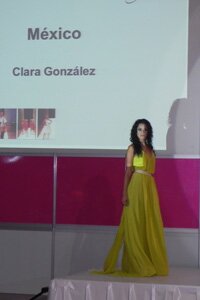 Compiten por el premio al Dise&ntilde;ador Internacional IAF 2011
